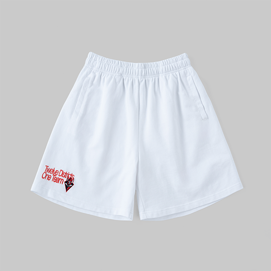 25-26 12DISTRICTS1TEAM SHORTS