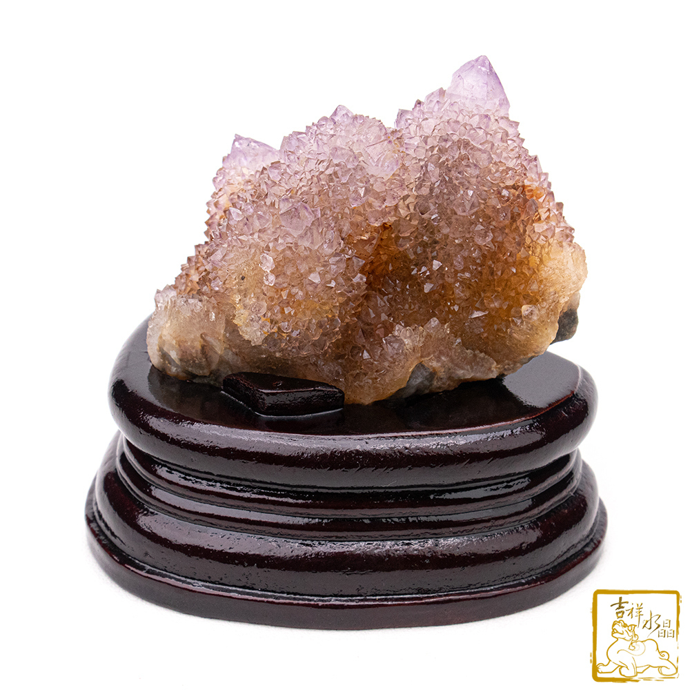 南非仙人掌紫水晶簇 345g 療癒靈性