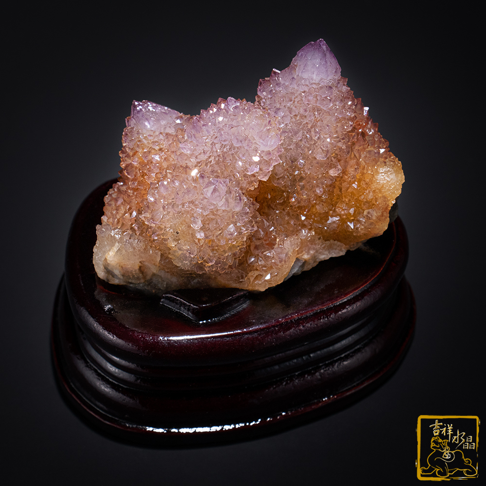 南非仙人掌紫水晶簇 345g 療癒靈性