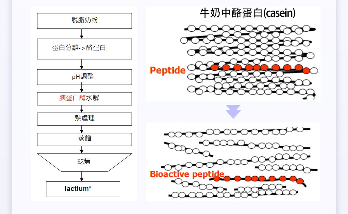不蕉律-天天開心的快樂因子-嚴萃保健-25