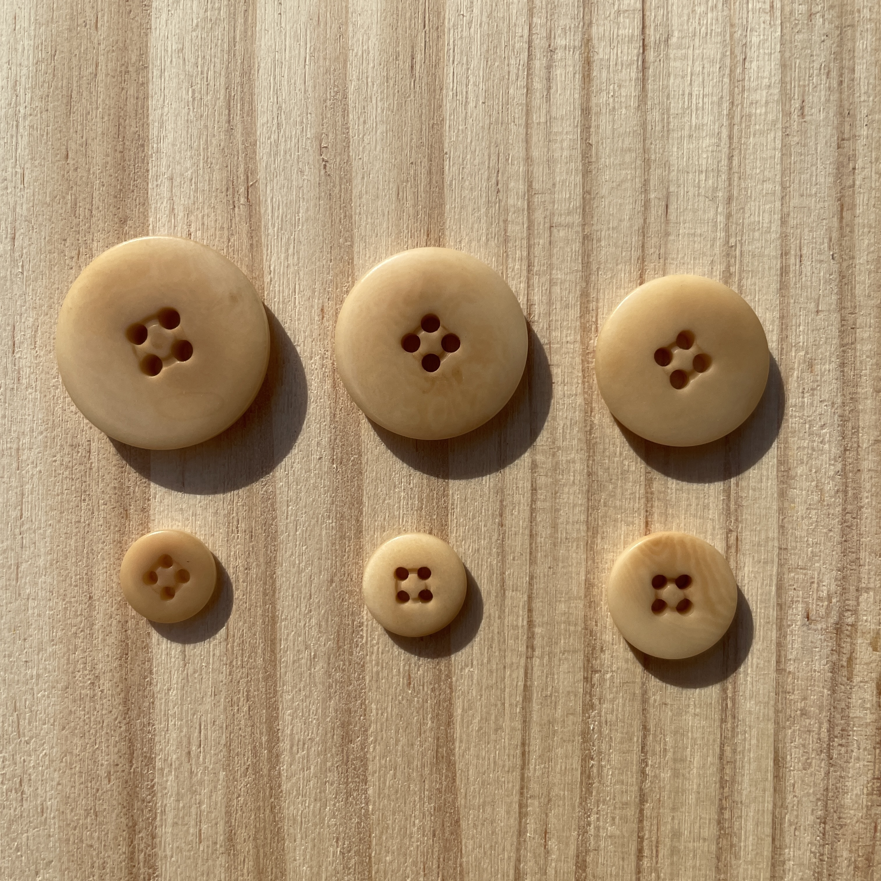 6727 象牙果實鈕扣