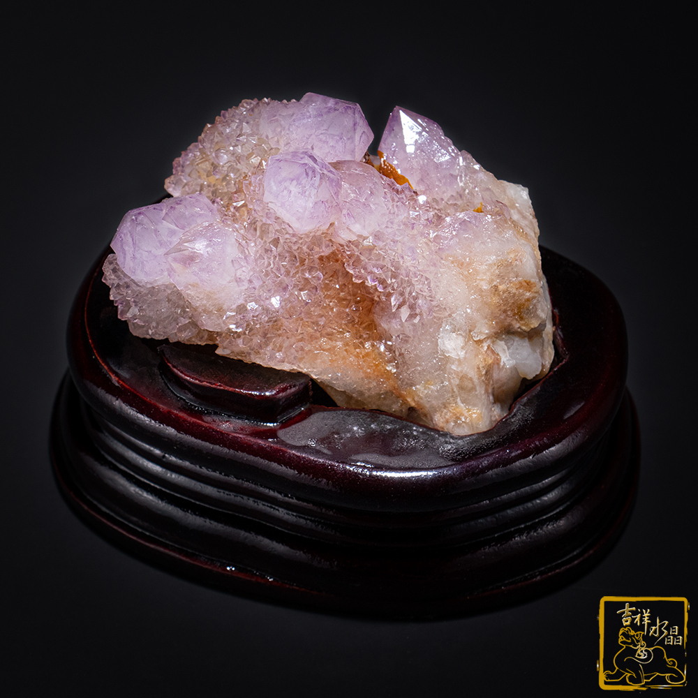 南非仙人掌紫水晶簇 379g 療癒靈性