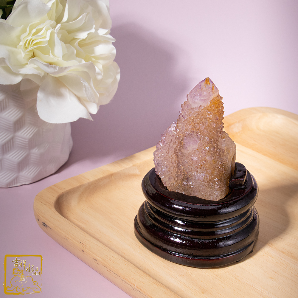 南非仙人掌紫水晶簇 238g 療癒靈性