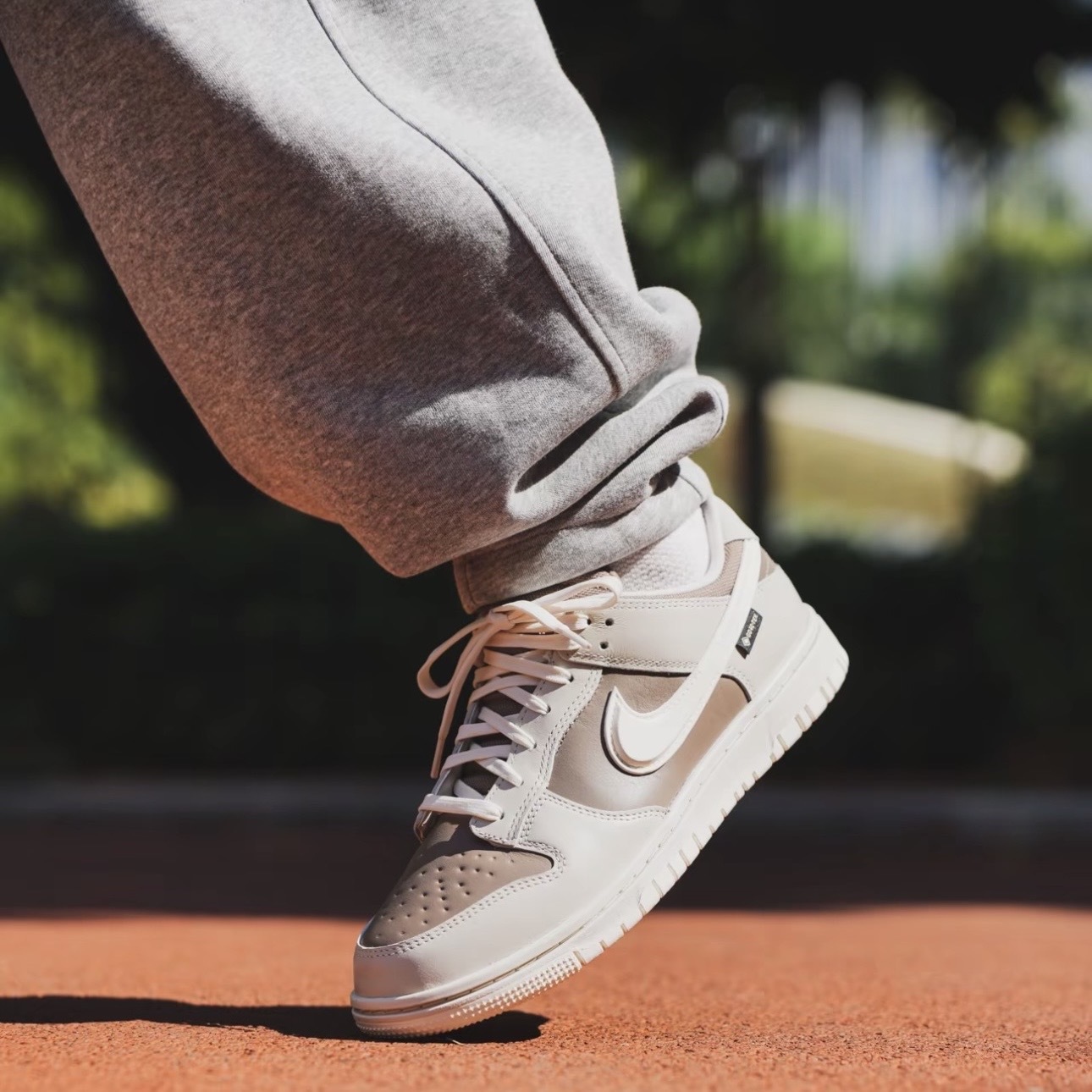 NIKE DUNK GORE-TEX 米棕 立體勾 男鞋 防水 HQ2053-002