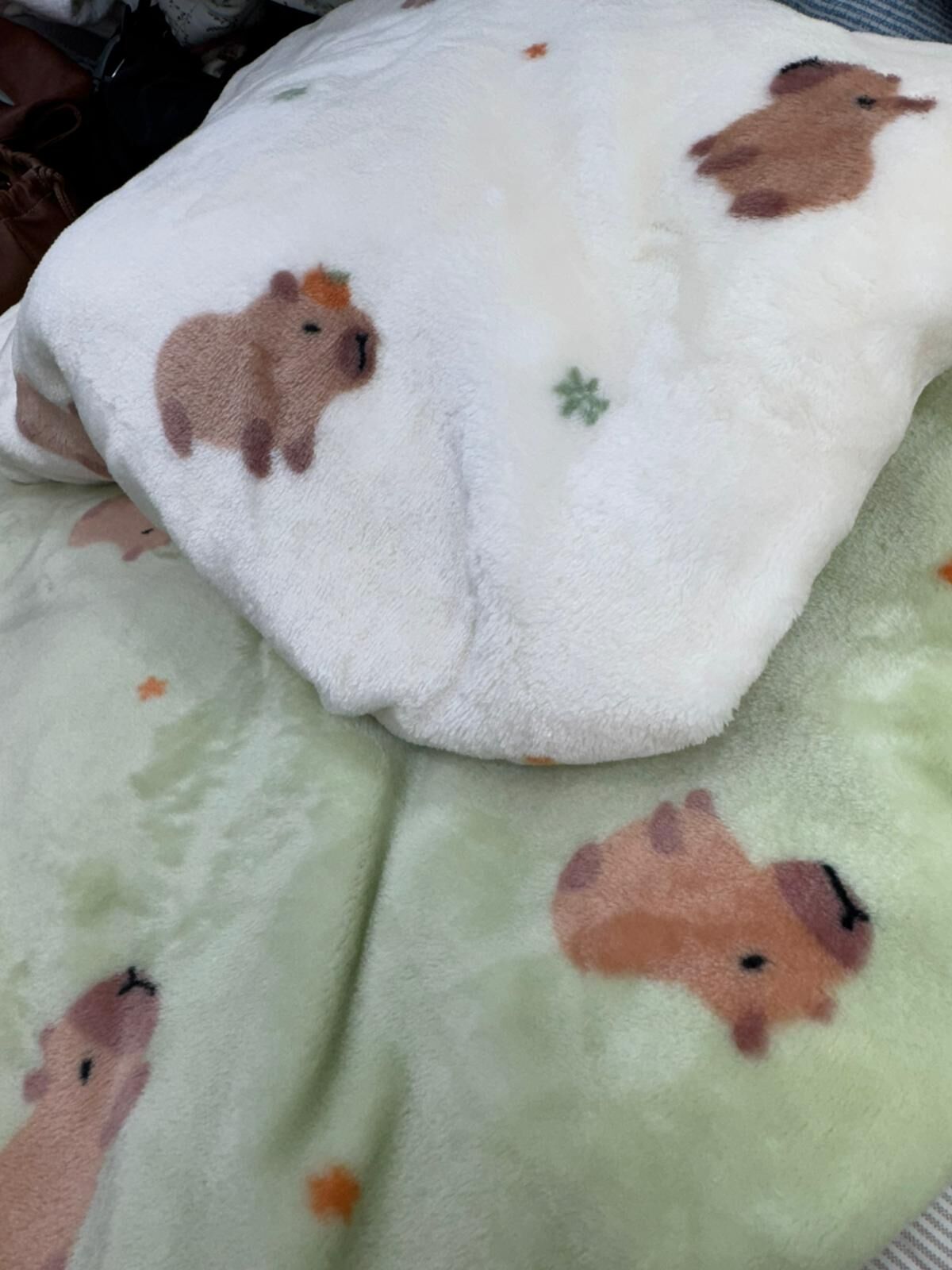 (5219) 法蘭絨小童被【105x150cm】