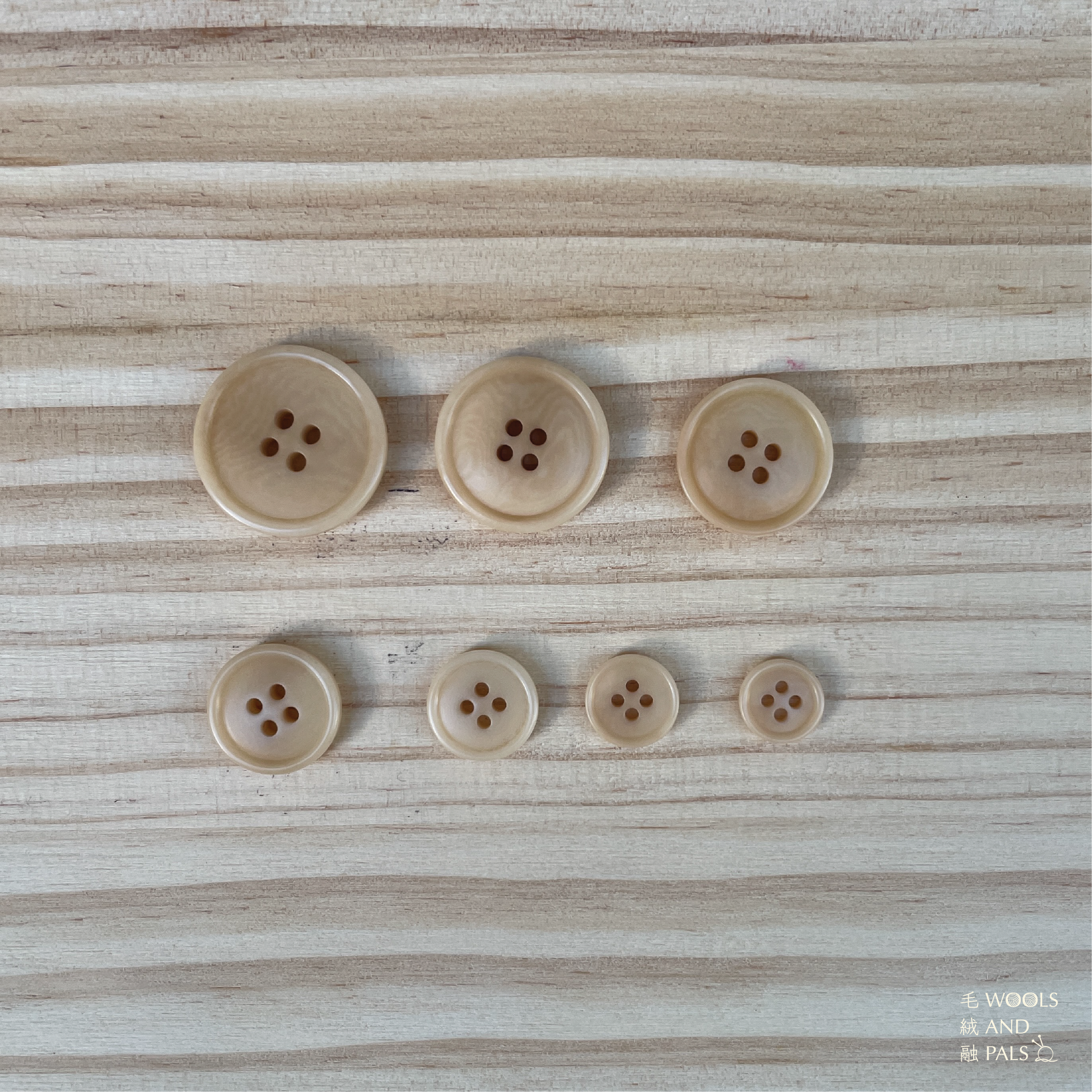 6804 Corozo 象牙果實鈕扣