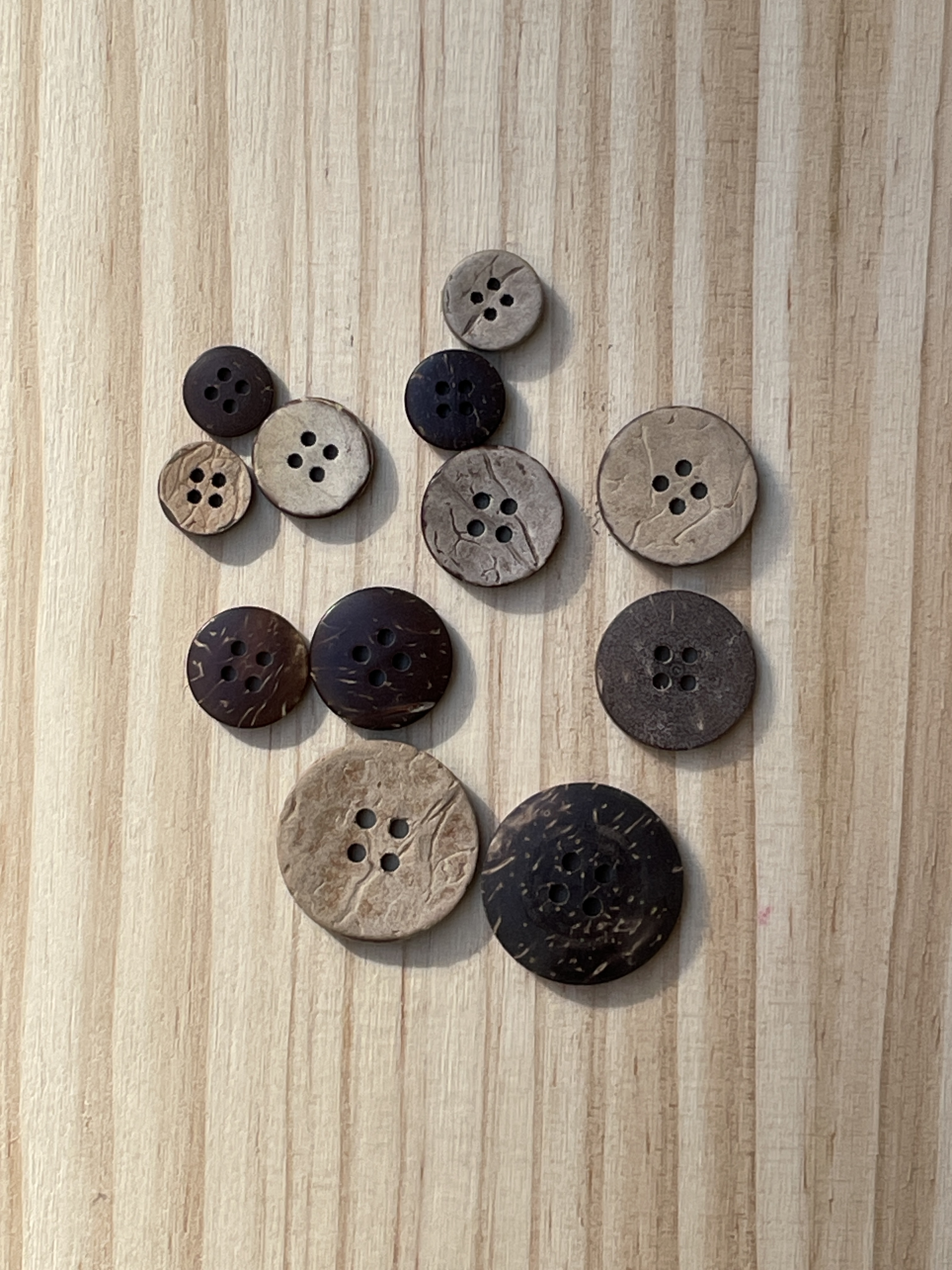 天然四眼椰子扣 - 多種尺寸可選