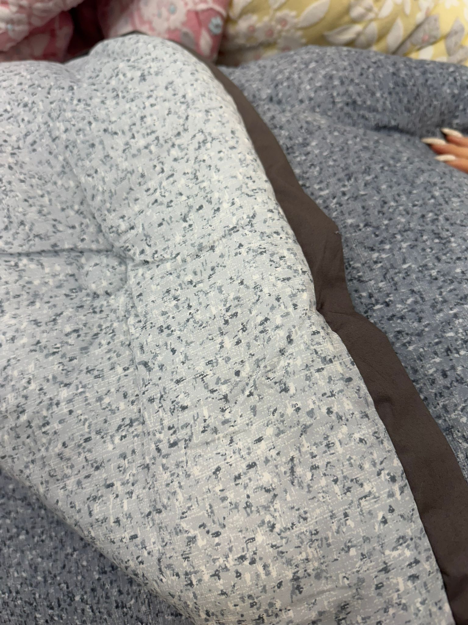 (5223) 點點天絲莫代爾被