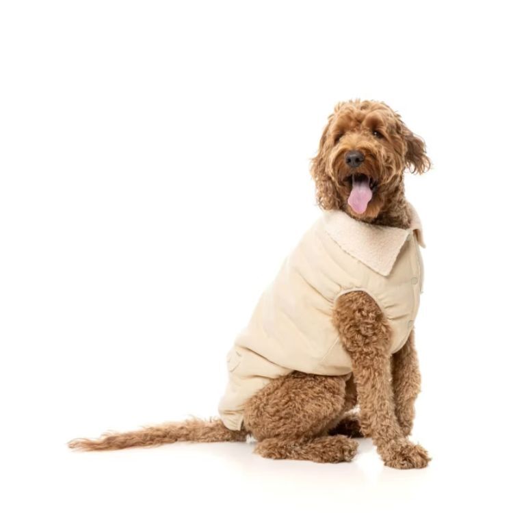 FuzzYard -羊羔絨翻領夾克(卡其色）