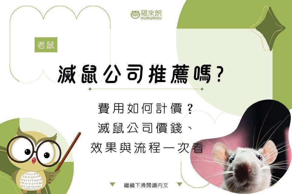 滅鼠公司推薦嗎?費用如何計價?滅鼠公司價錢、效果與流程一次看