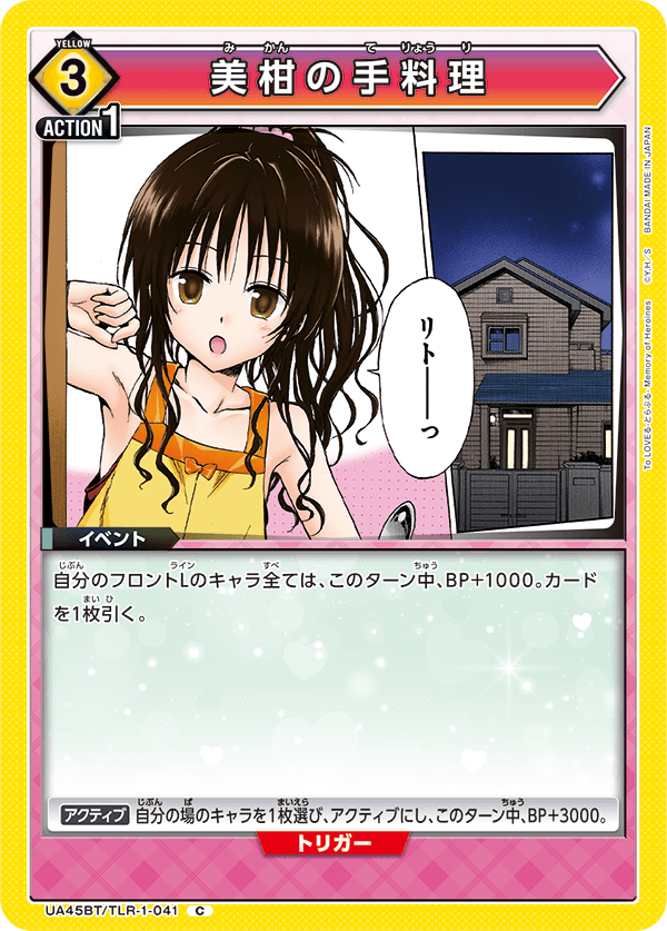 UA45BT/TLR-1-041 美柑の手料理 (C)