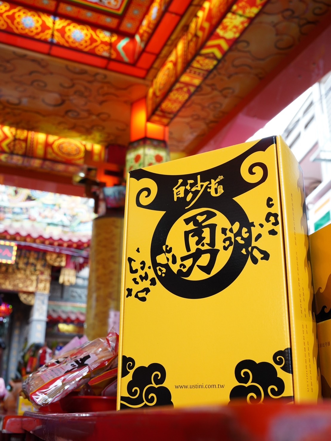 USTINI Leopard Earthing Shoes beyond sneakers