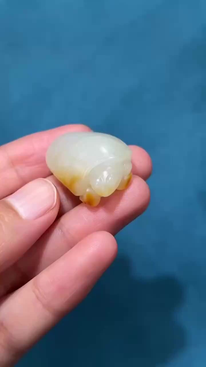 和田玉籽料黃皮長壽龜,天然和田玉軟玉