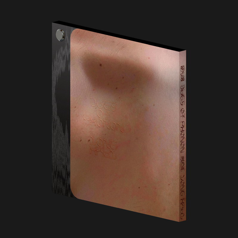 聲子蟲 Bugs of phonon《遺心病》（CD）