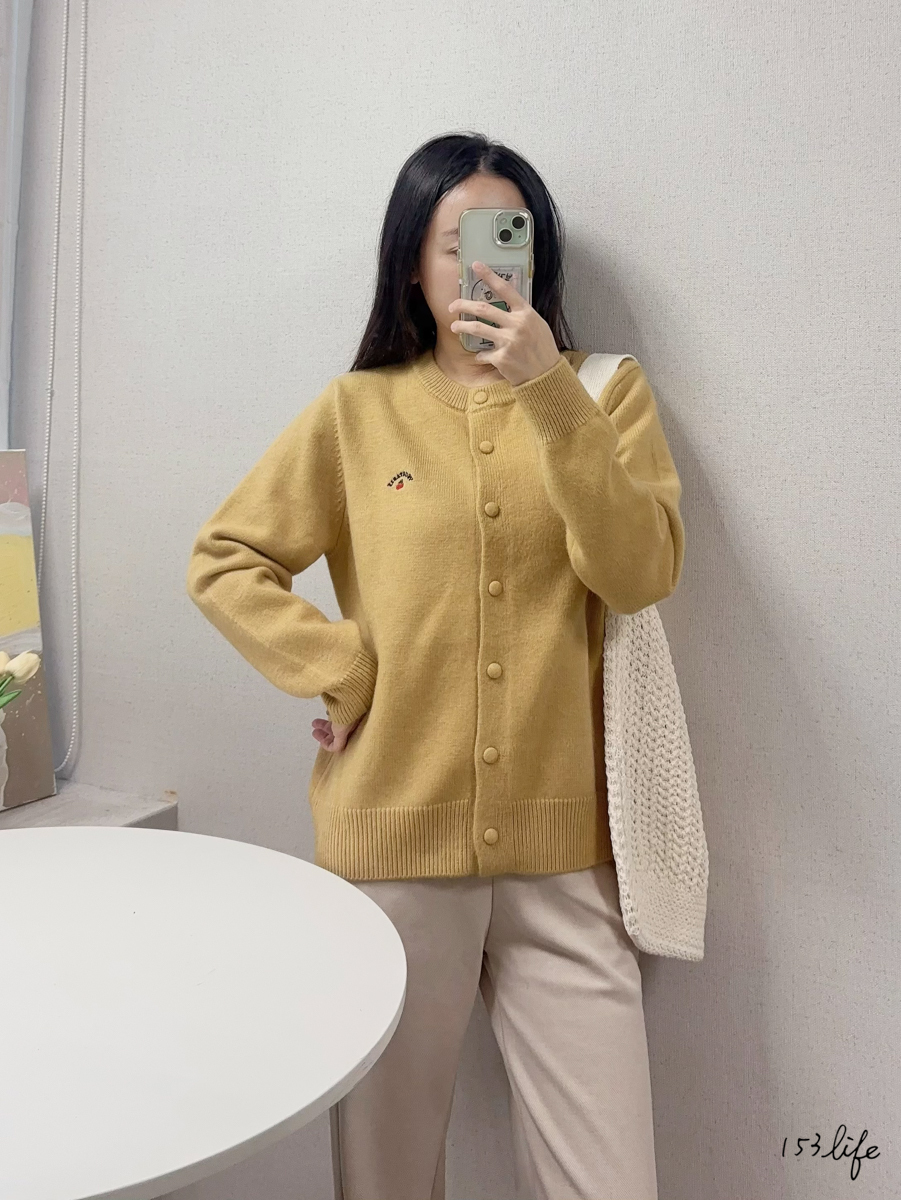 |現貨|櫻桃刺繡圓領針織毛衣(4色)