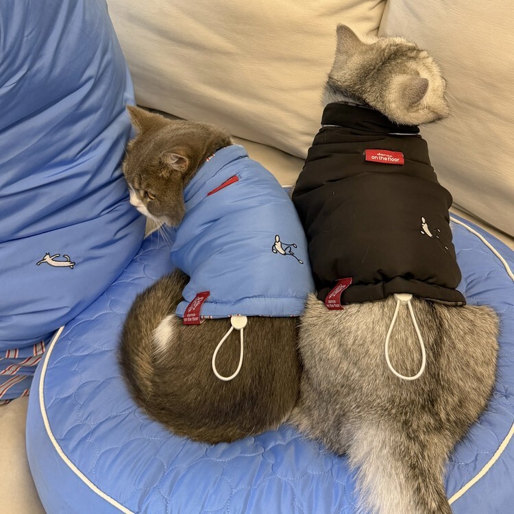 danceonthefloor | 不沾毛寵物雙面背心 三色