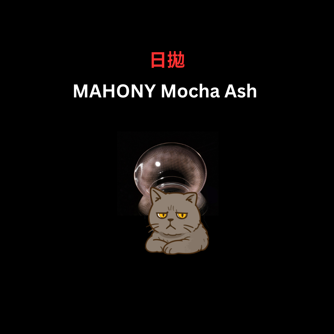 FiPN 1 Day MAHONY Mocha Ash 日拋棄型彩妝隱形眼鏡｜每盒10片