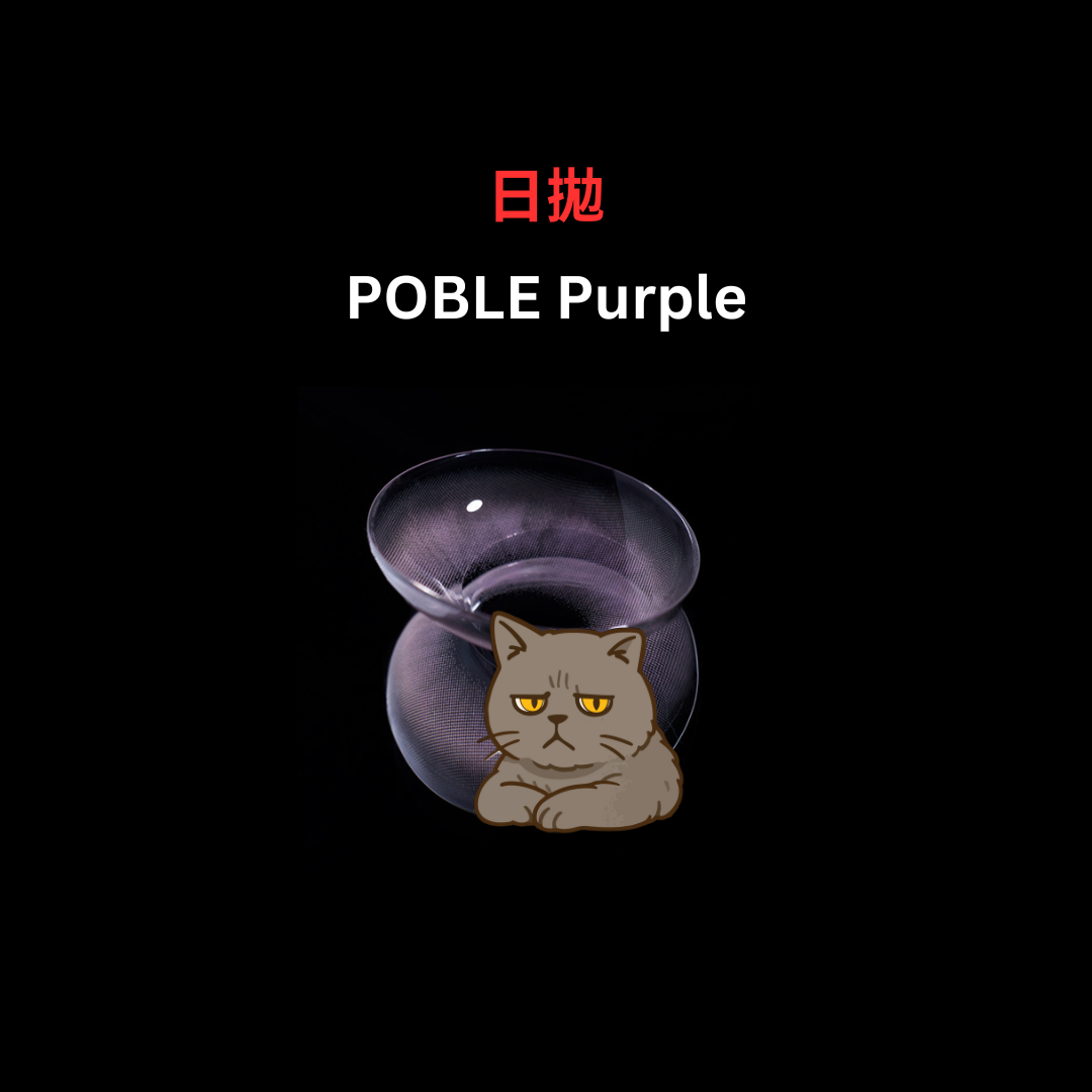 [日拋] FiPN 1 Day Poble Purple 彩妝隱形眼鏡｜每盒10片