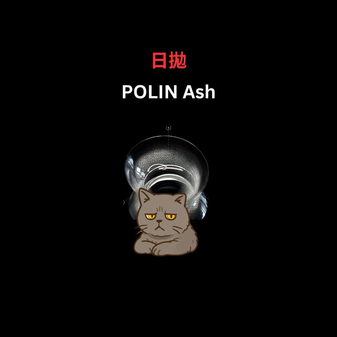 [日拋] FiPN 1 Day Polin Ash 日拋隱形眼鏡｜每盒10片