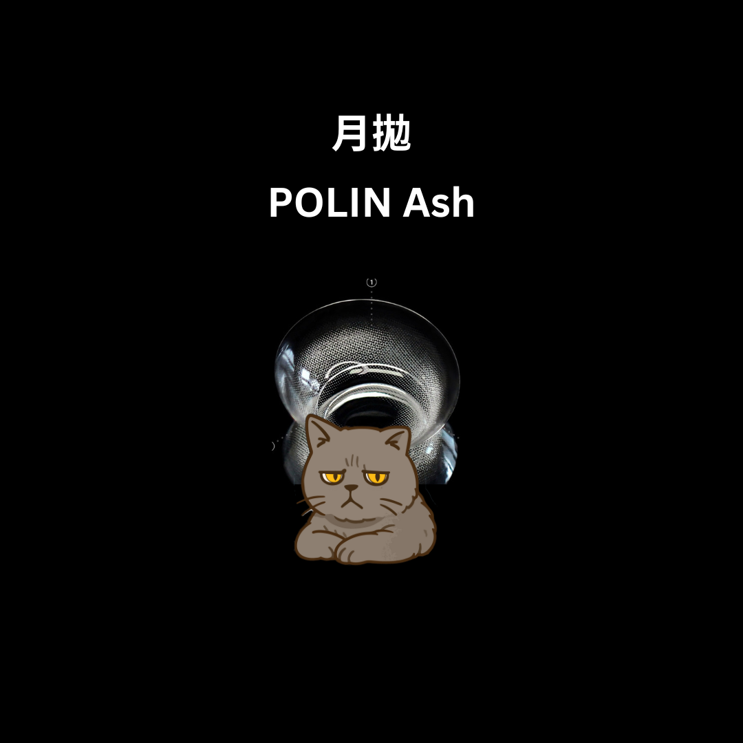 [月拋] FiPN Polin Ash 月拋隱形眼鏡｜每盒2片