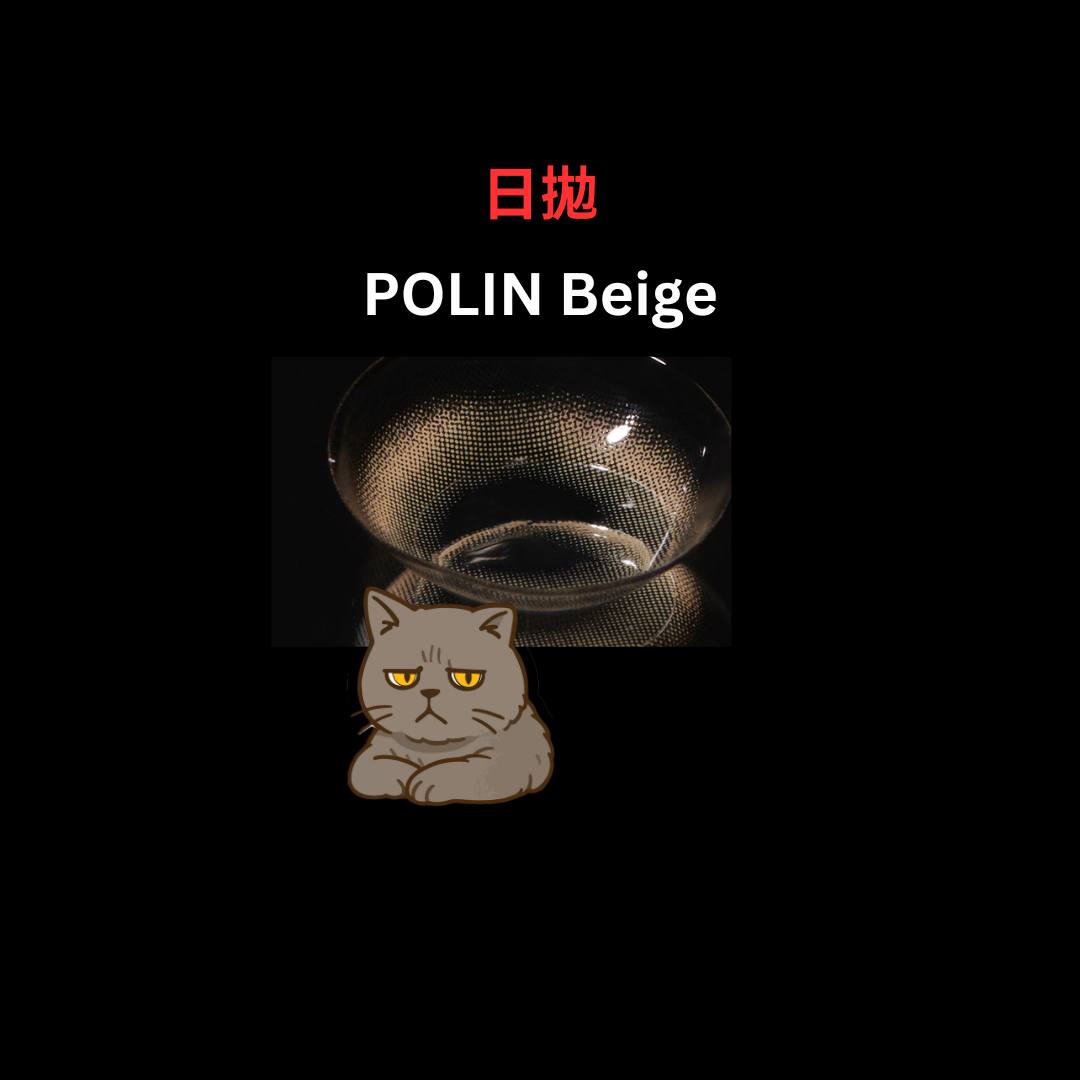 [日拋] FiPN 1 Day Polin Beige 日拋隱形眼鏡｜每盒10片