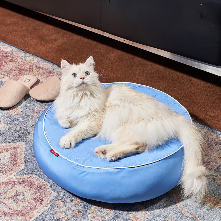 danceonthefloor | 貝果睡窩 可換睡窩套