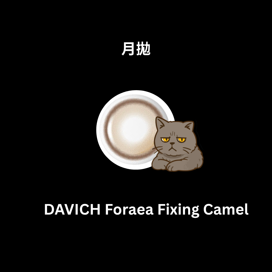 [月拋]  FiPN x DAVICH Lens Foraea 1 Month Fixing Camel｜彩妝隱形眼鏡｜每盒2片