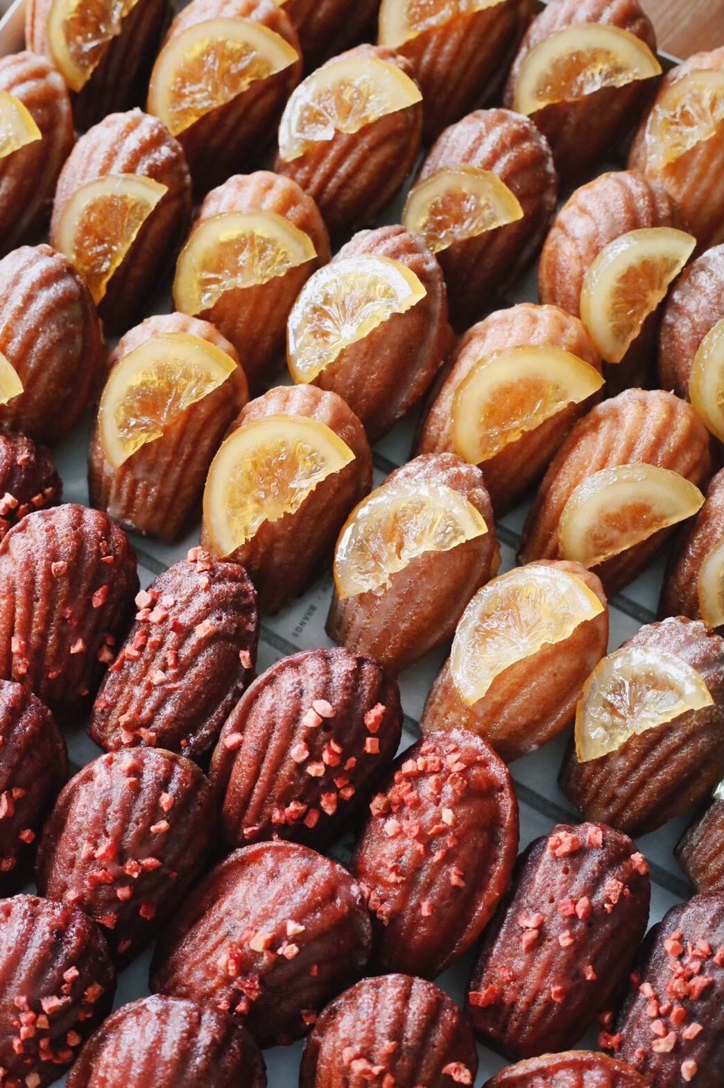 2026年4月22日Champion Hands活動