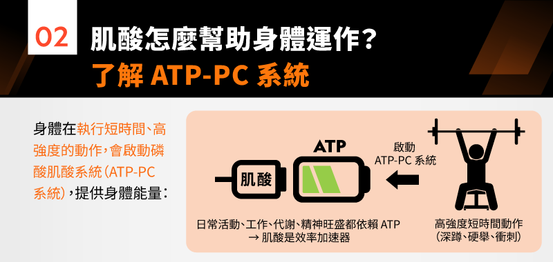 了解肌酸ATP-PC系統