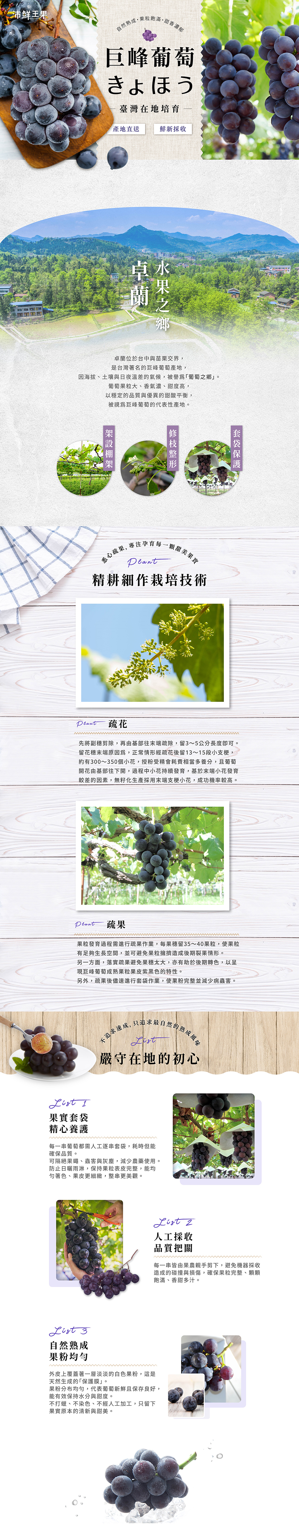 百香果,都香,都香三號,都香3號,十九,甜,禮盒,水果,金都,3號,金都3號,金都三號,老欉,文旦,麻豆,產地,直送,現採,梨山,甘露梨,梨,卓蘭甘露梨,葡萄,巨峰,巨峰葡萄