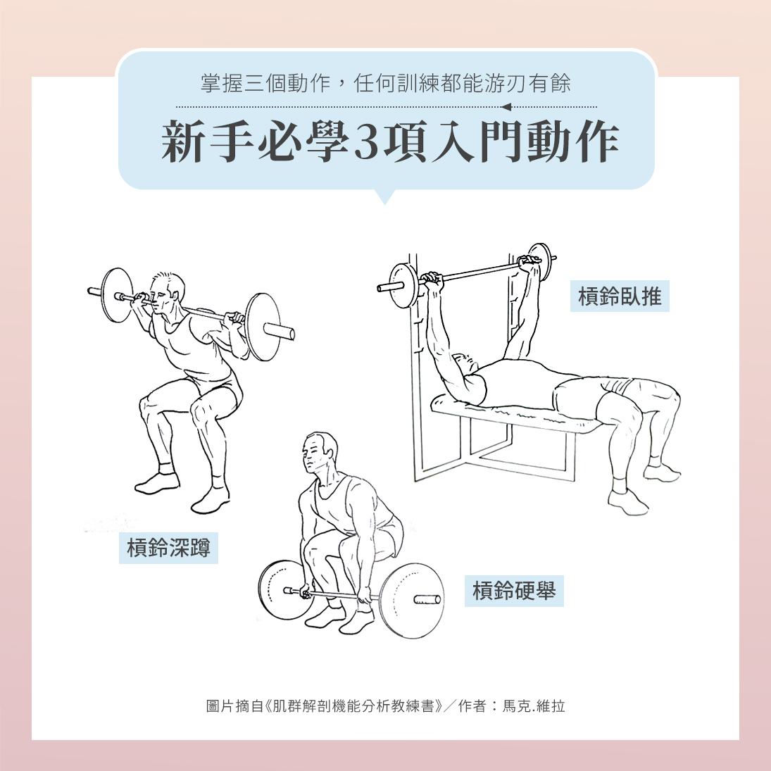 新手必學的3個槓鈴入門訓練