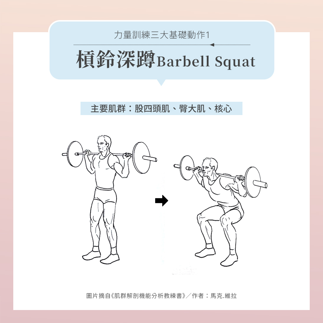深蹲教學