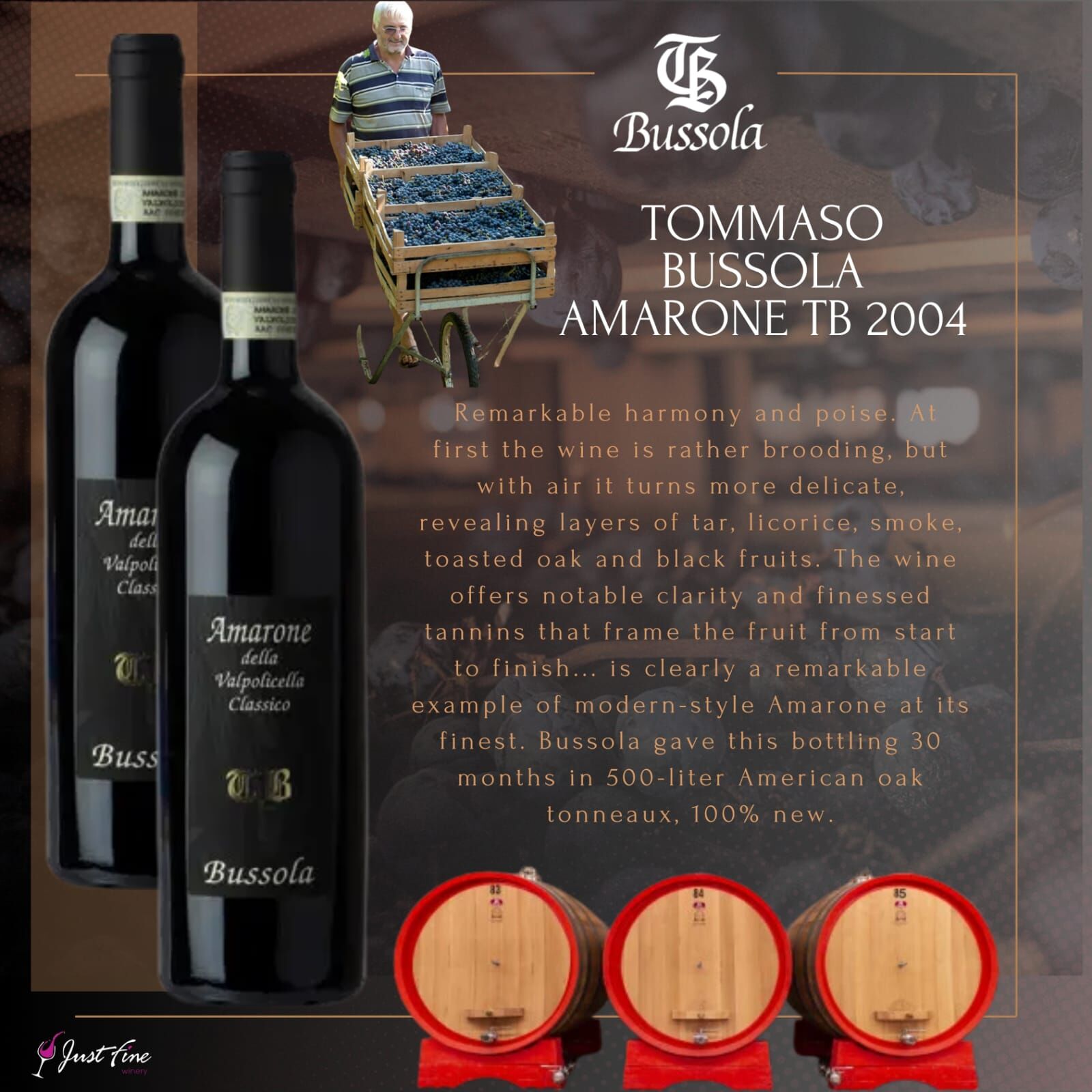 2004 Tommaso Bussola TB Amarone della Valpolicella Classico