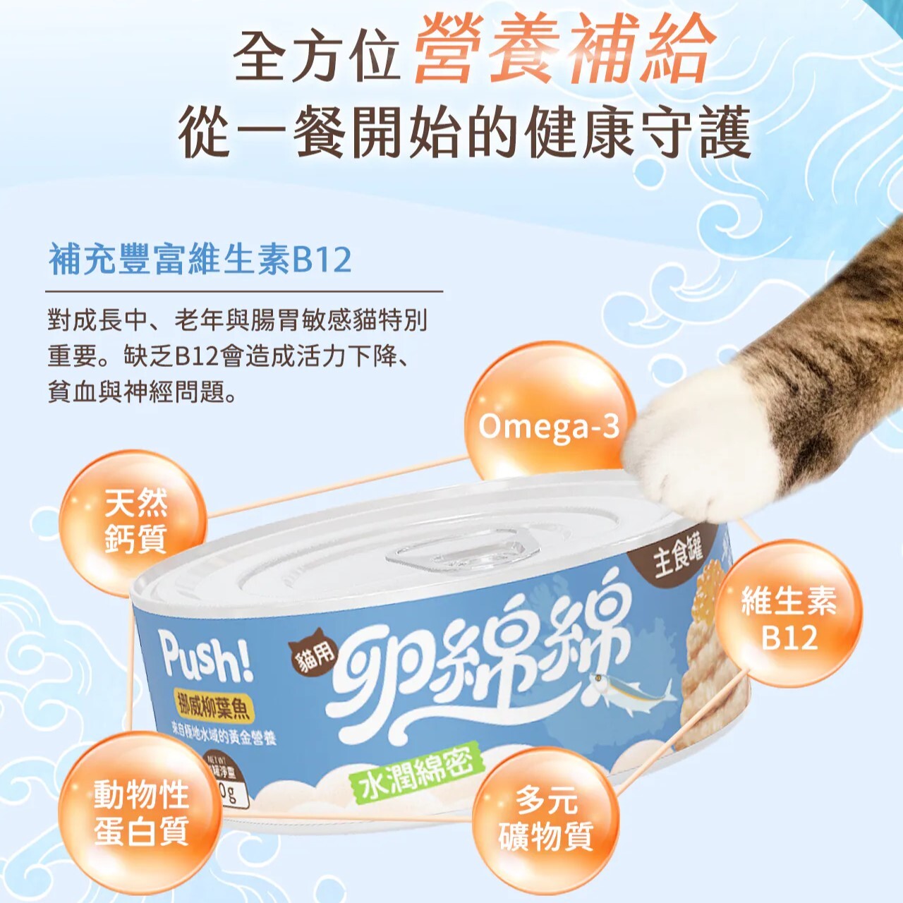 Push 噗滋｜卵綿綿冰島魚卵貓咪主食罐