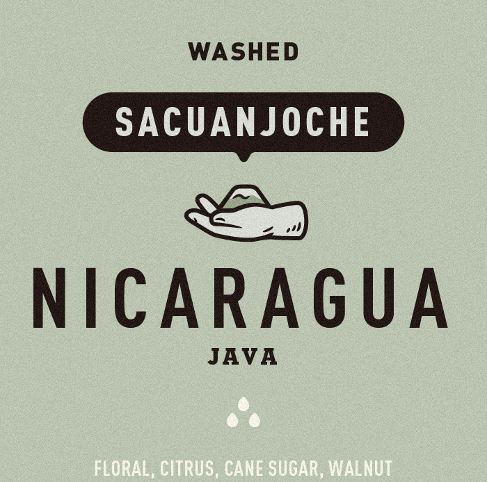 Nicaragua | Nueva Segovia |  Sacuanjoche | Java | Washed