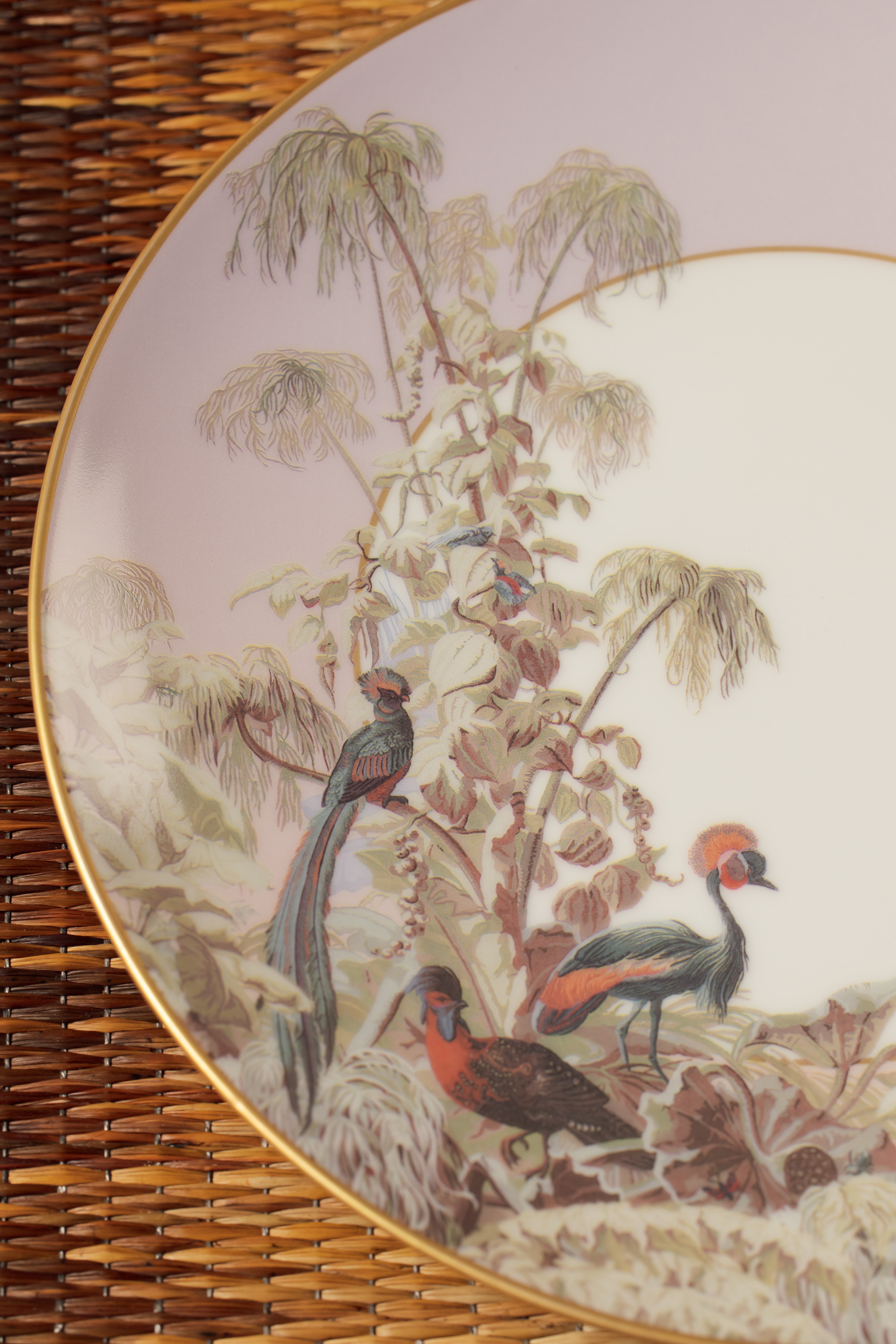 HAVILAND｜Le Brésil 系列 - 餐盤 22.5cm