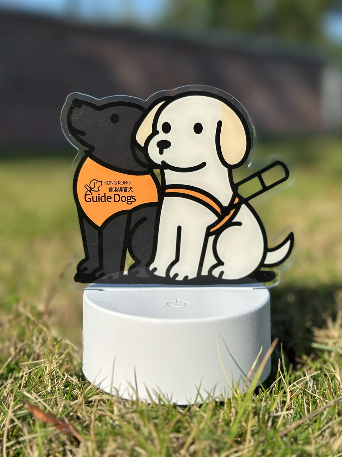 香港導盲犬小夜燈