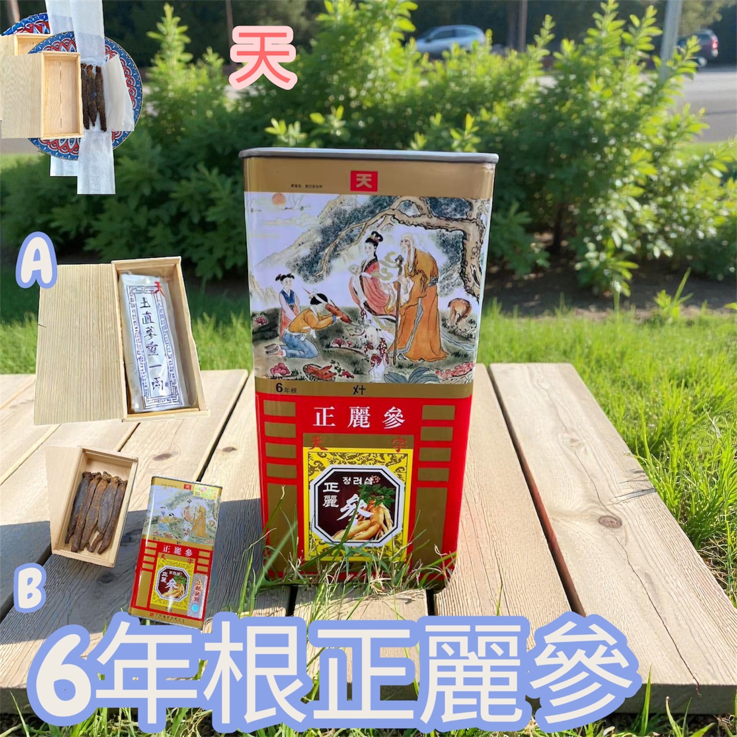 H20479  6年根正麗蔘 精選禮盒裝（天）