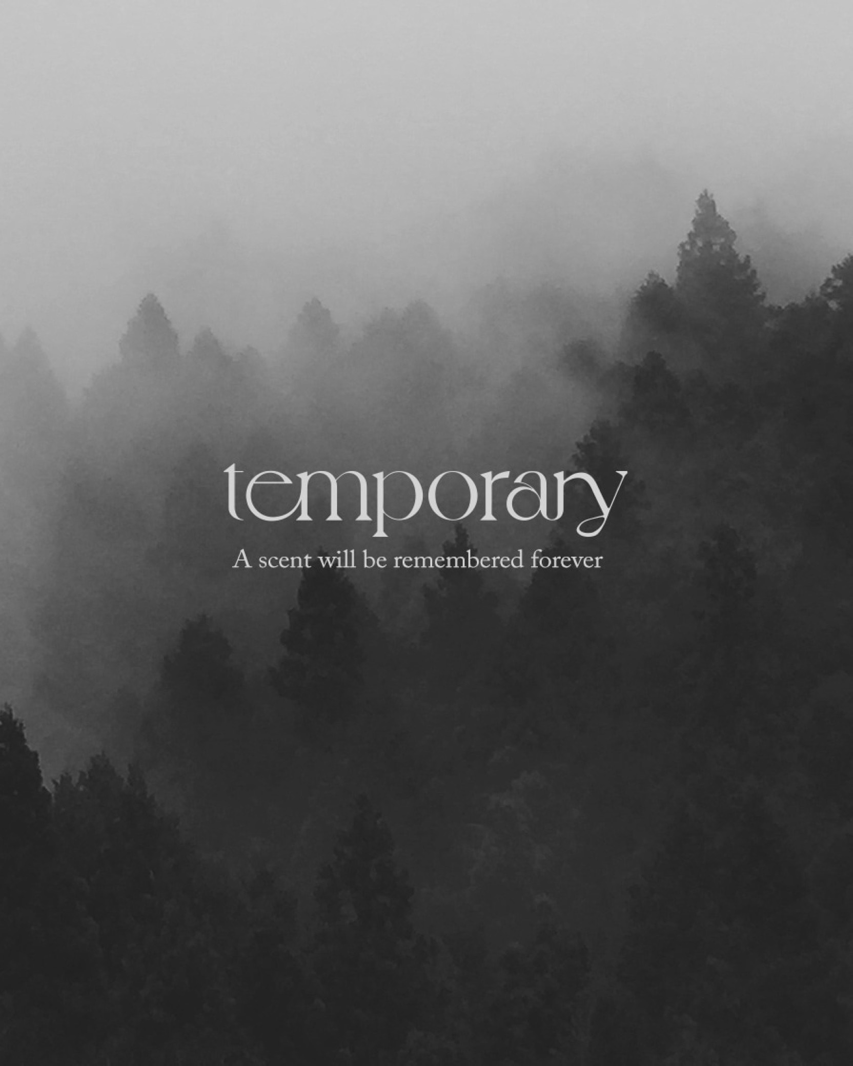 [ 預約販売 ]  Temporary - Woody Forest Perfume - 1077ml