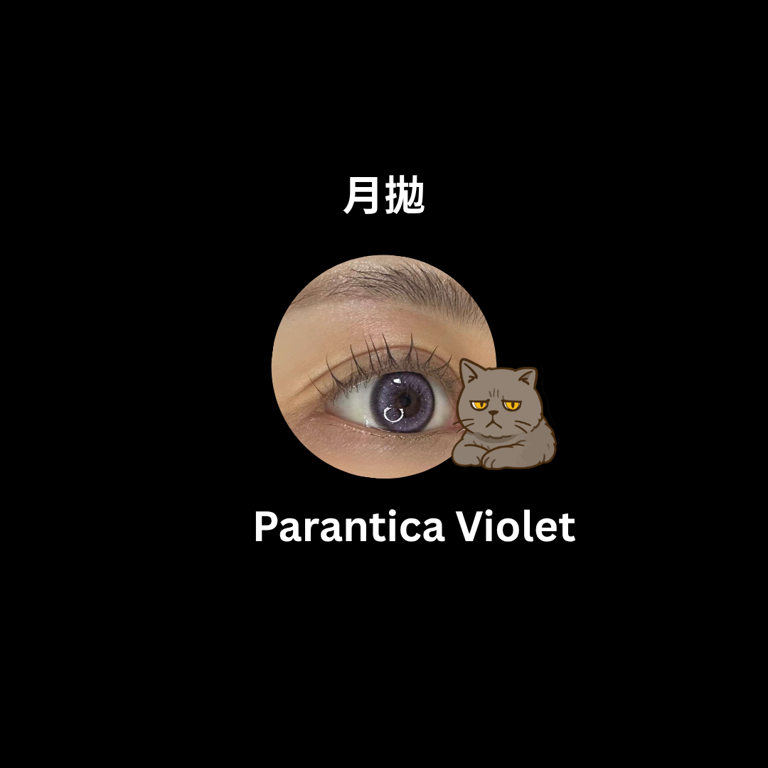 [月拋]  ANNA SUI 1 Month Parantica Violet｜月拋彩妝矽水凝膠隱形眼鏡｜每盒2片
