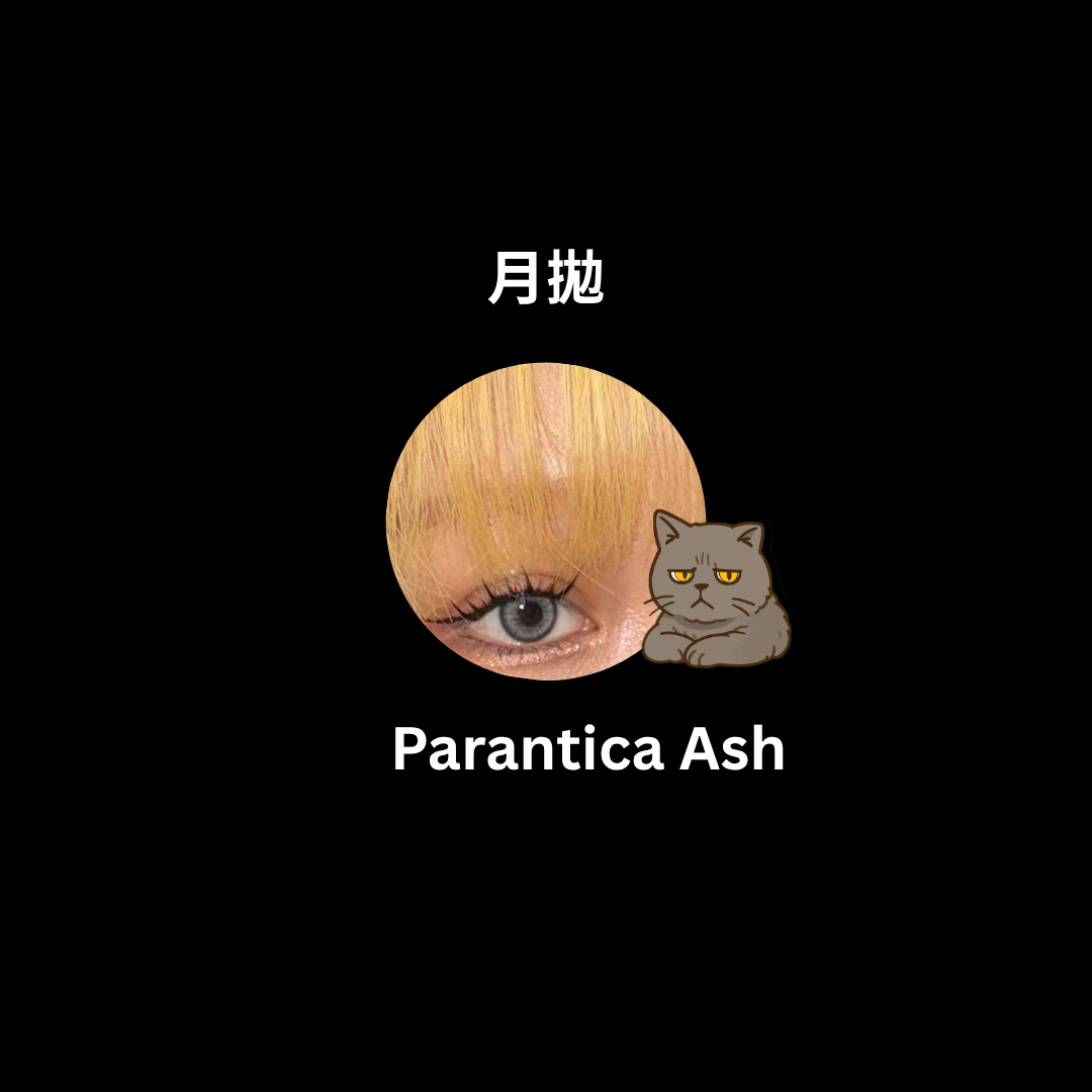 [月拋]  ANNA SUI 1 Month Parantica Ash｜月拋彩妝矽水凝膠隱形眼鏡｜每盒2片