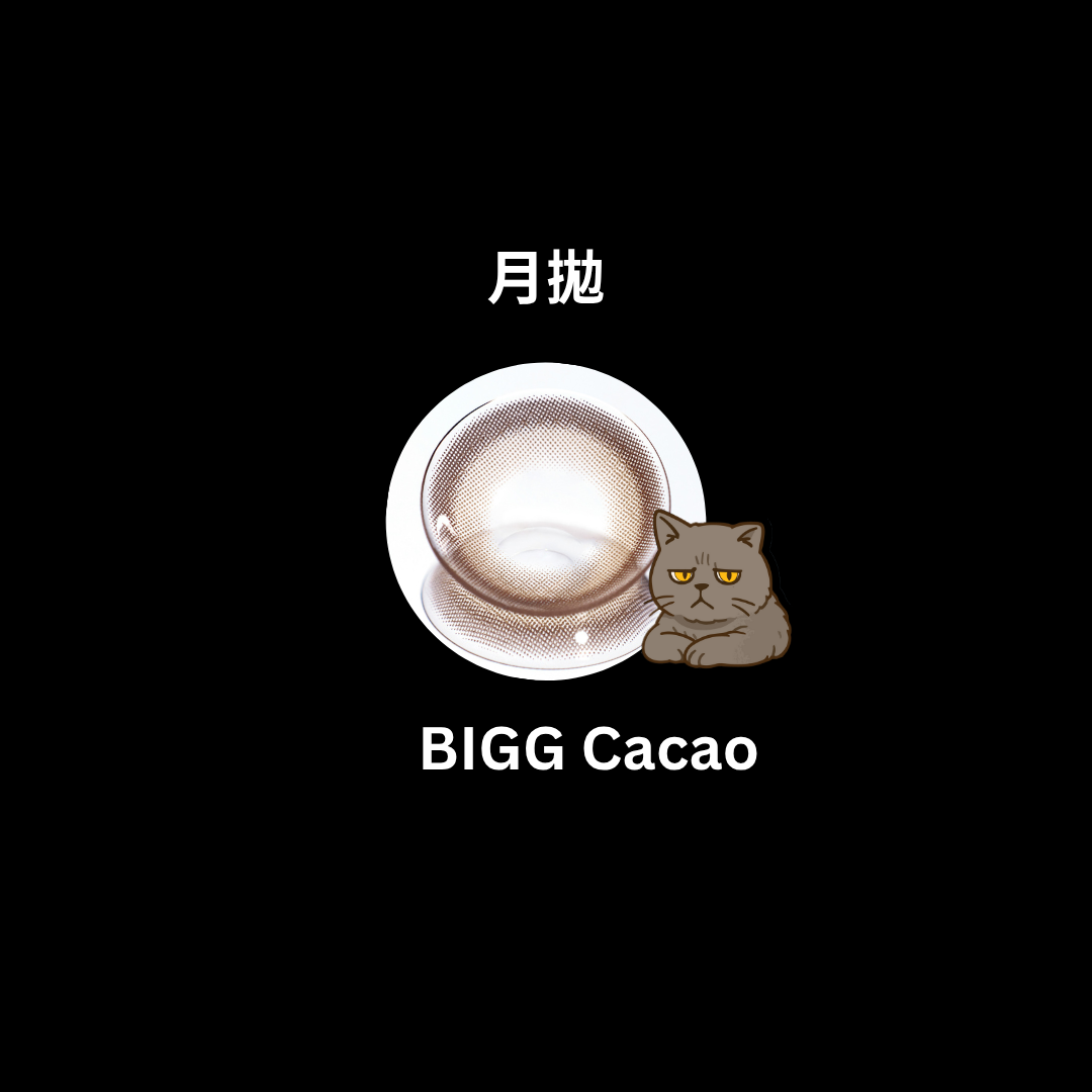 [月拋]FiPN Bigg 1 Month Cacao 美妝隱形眼鏡｜每盒2片