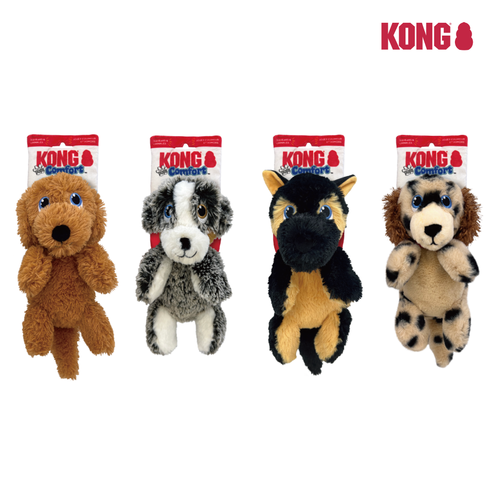KONG | 舒適幼犬 (牌卡設計造型有塑膠聲)