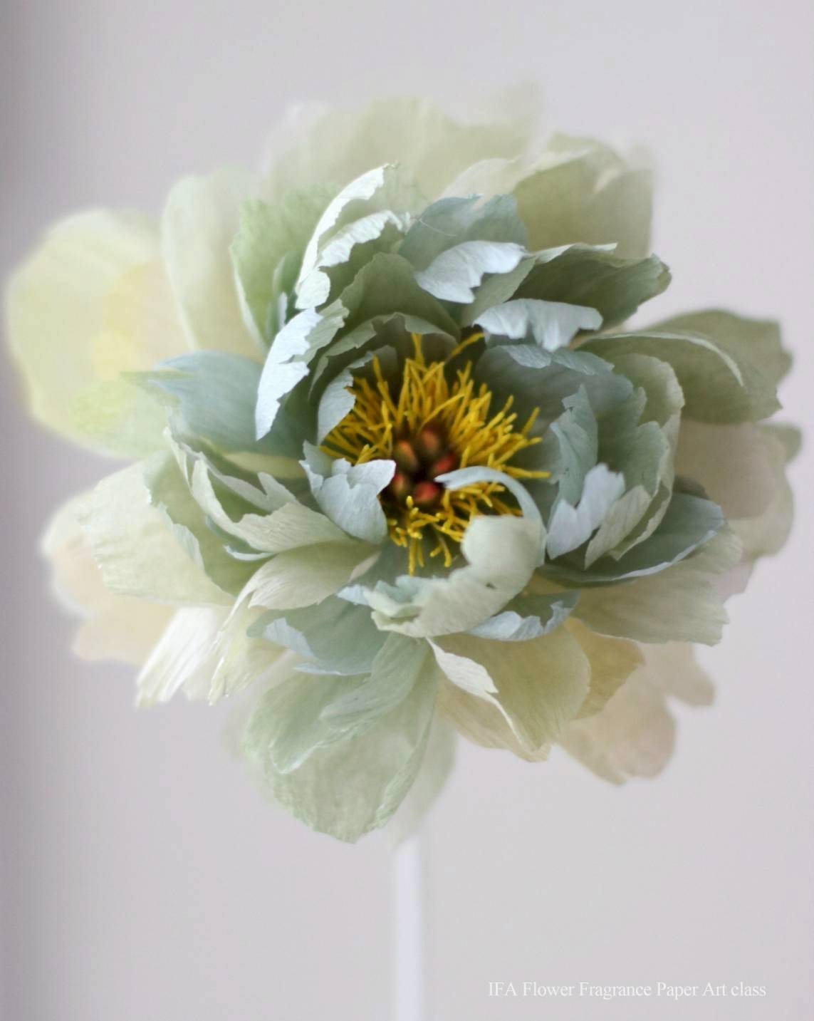 🌸韓國IFA 花妍香氛紙藝術證書課程 WhatsApp 61174567 預約上課