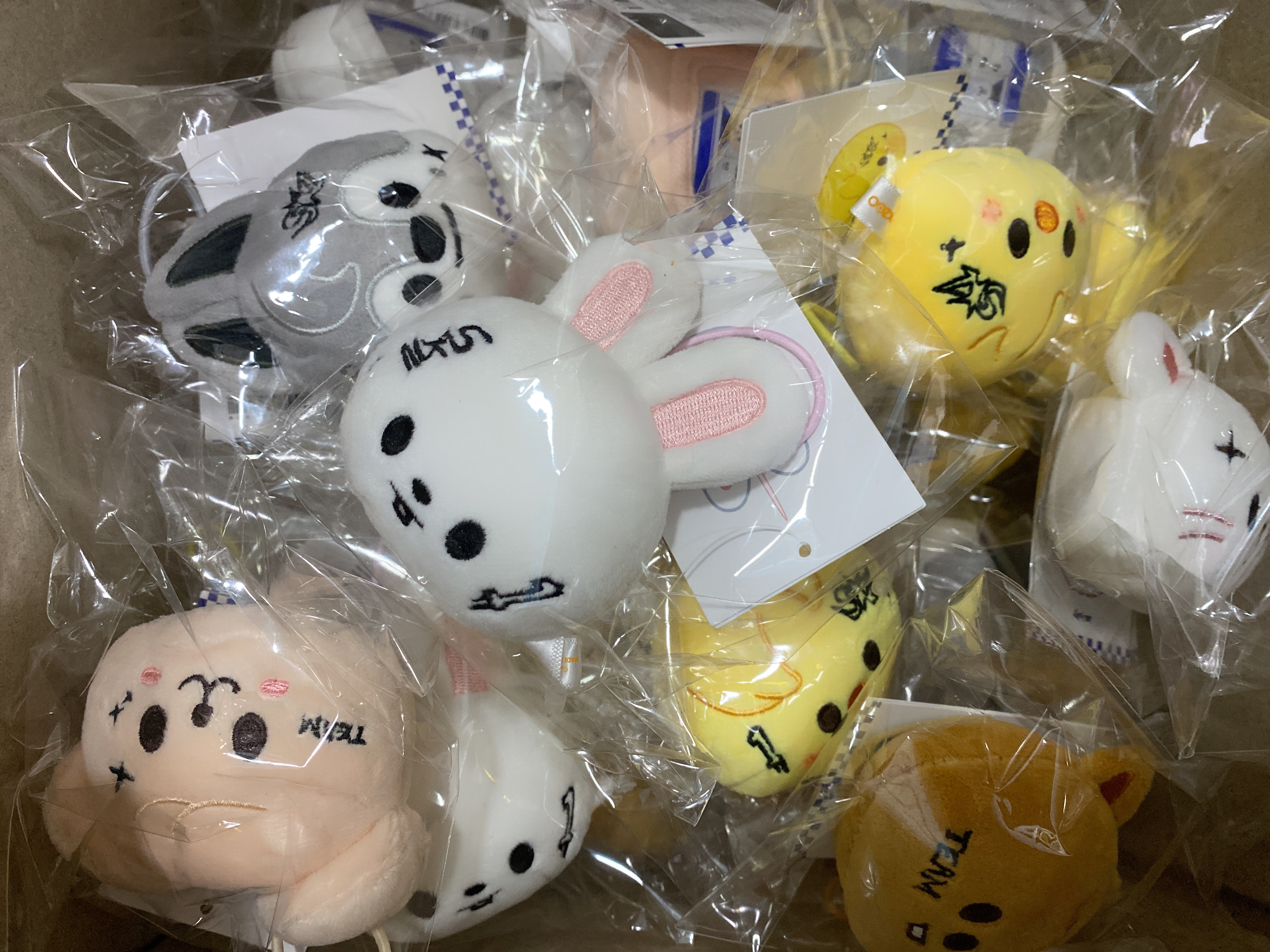 SKZOO Karma Name tag