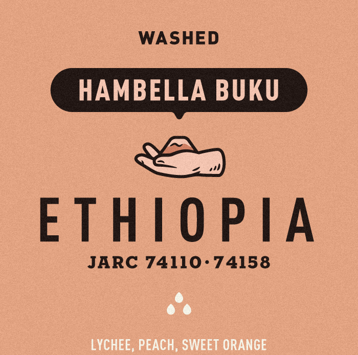 Ethiopia | Guji  Hambella | Buku | ESAYAS BERISO | 74110 & 74158 | Washed