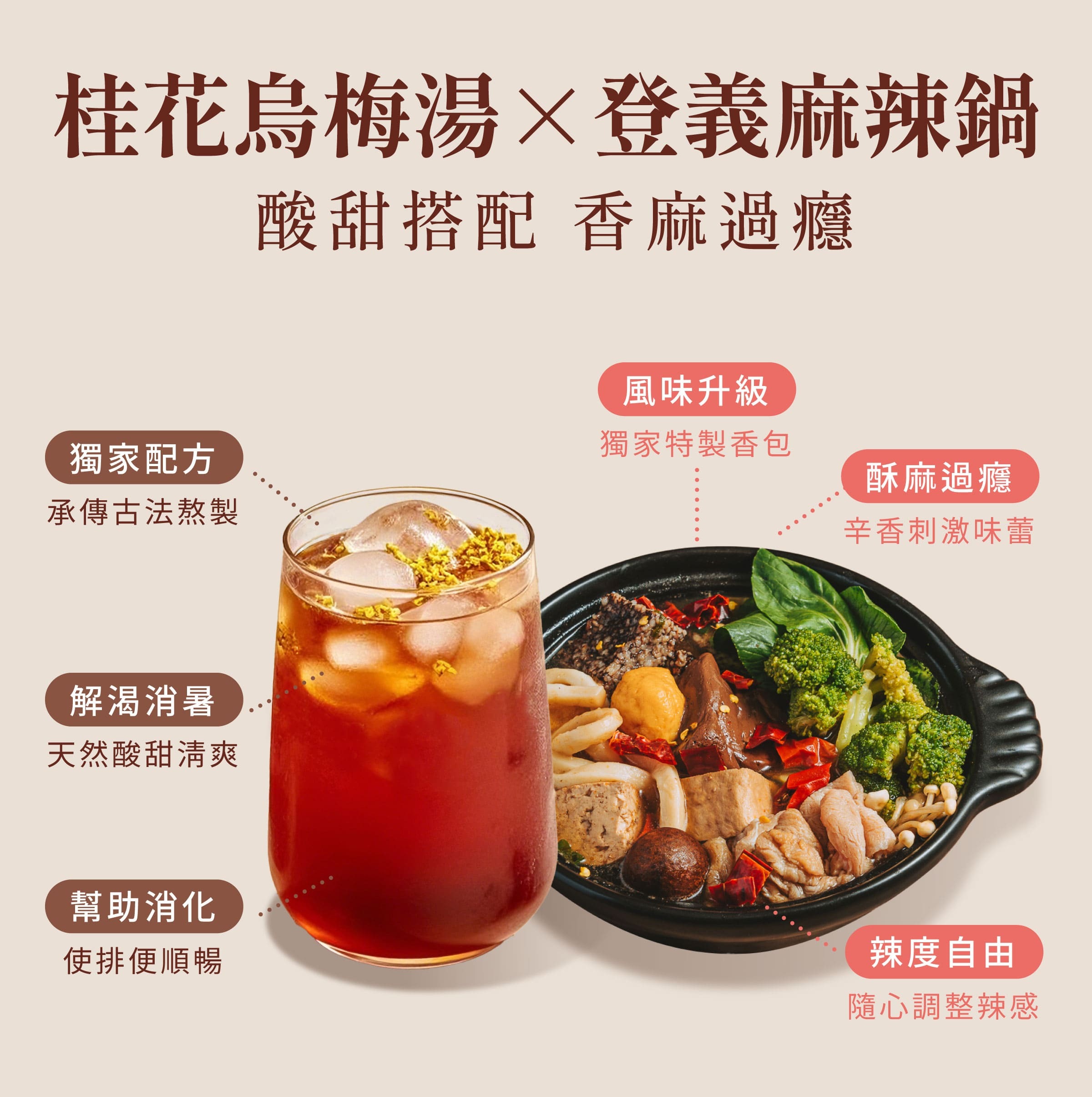 登義麻辣好朋友組特色