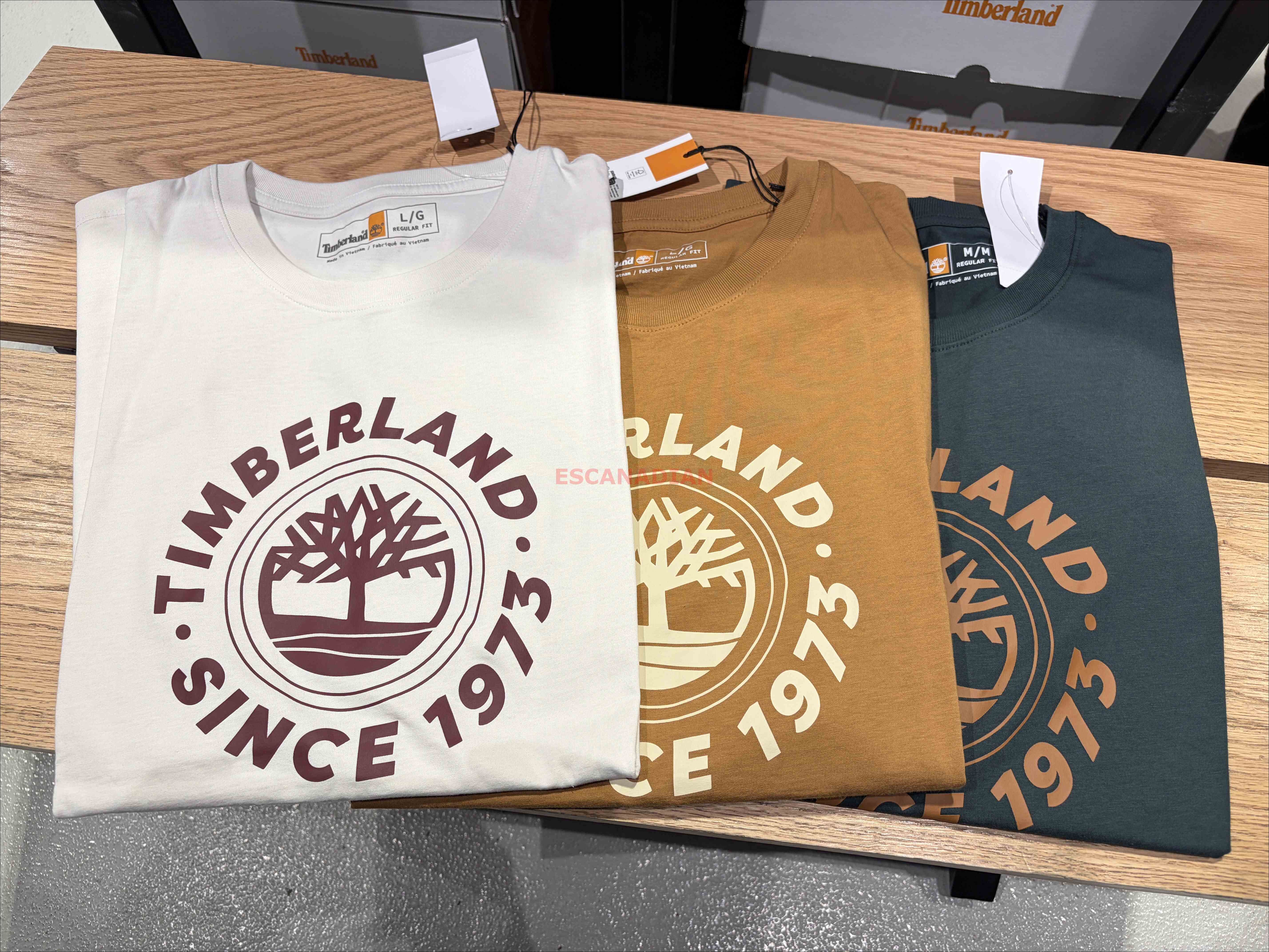 Timberland 大人 大樹圖案 短TEE (3色)