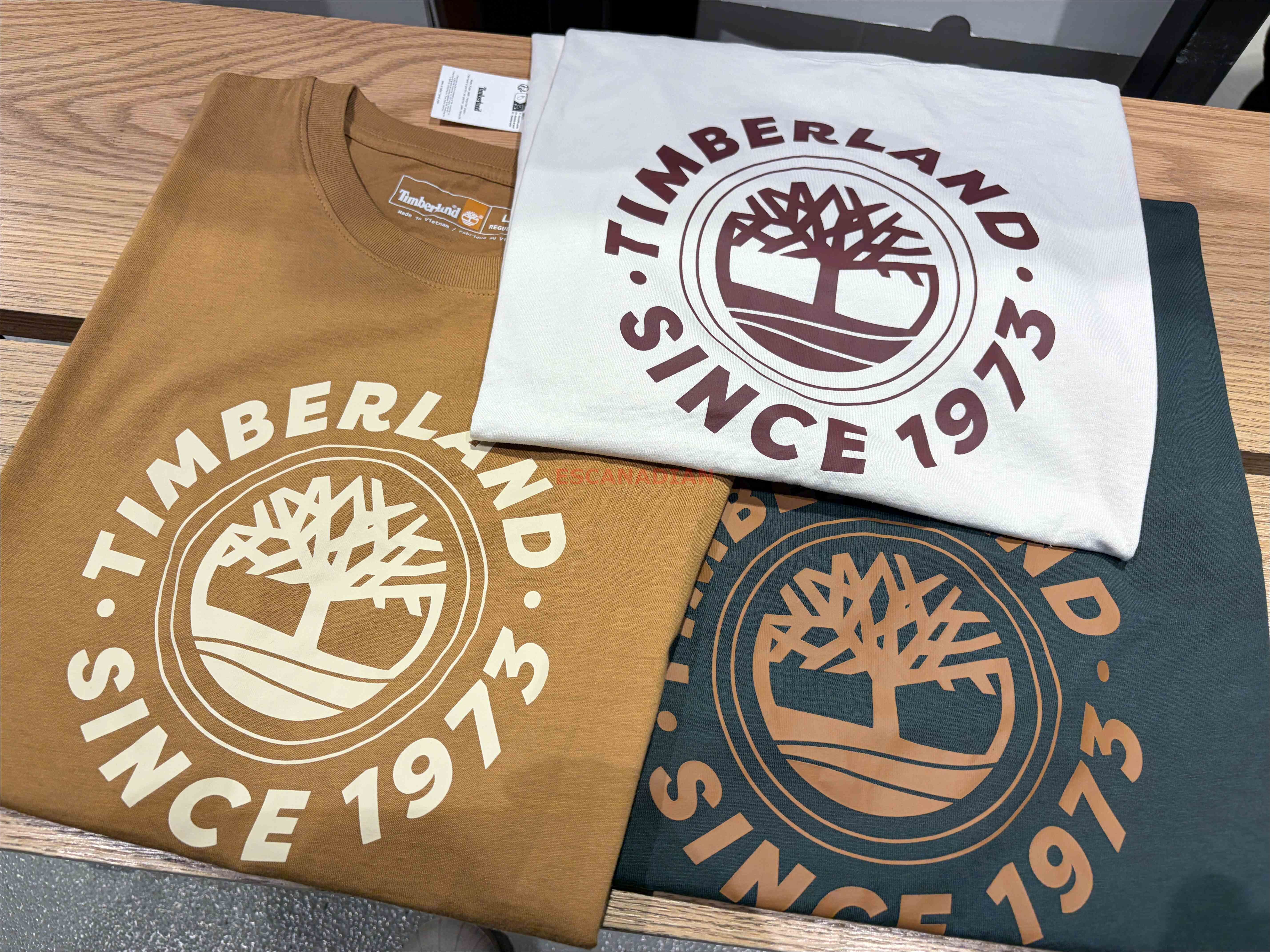 Timberland 大人 大樹圖案 短TEE (3色)