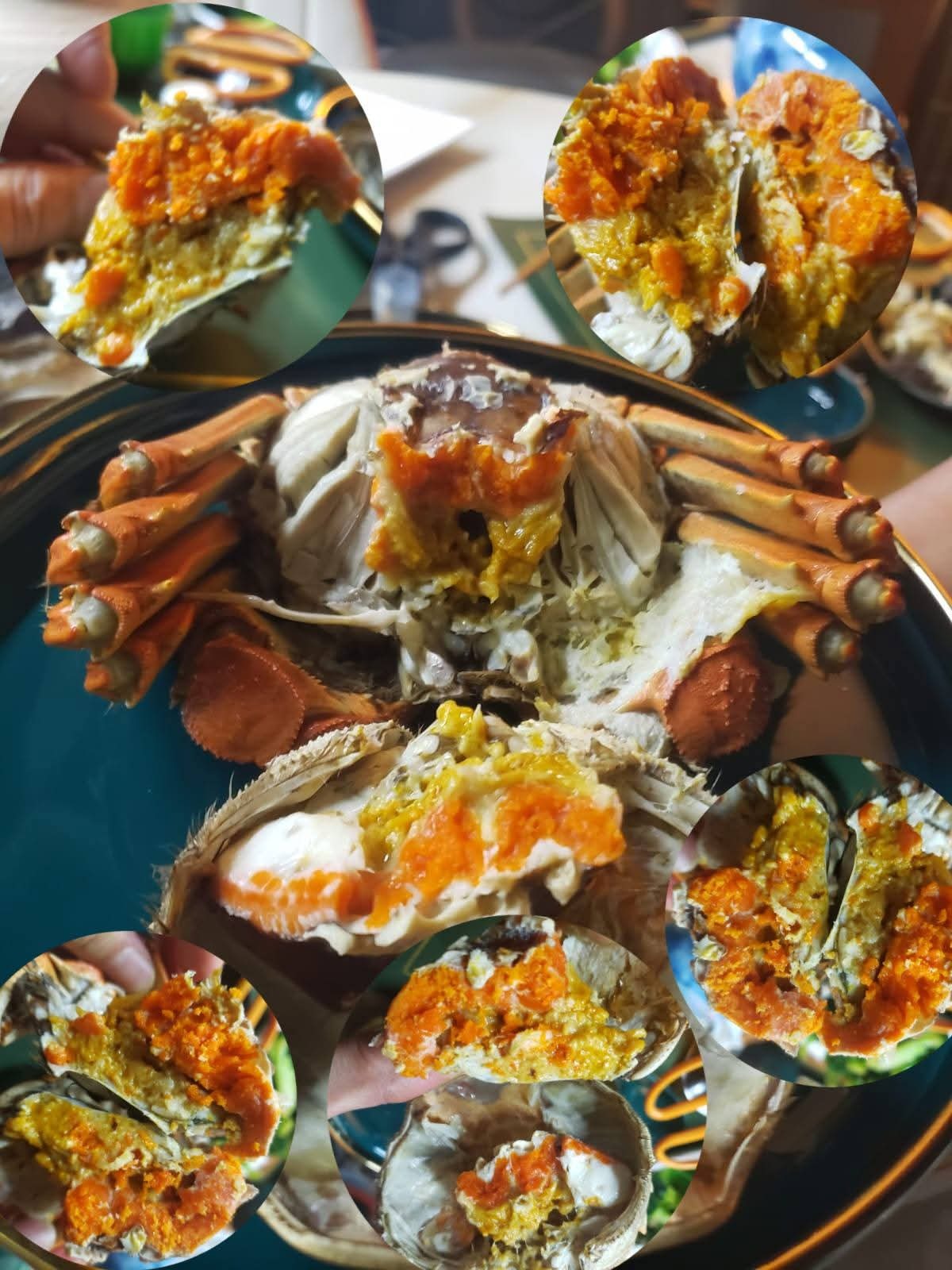 #大閘蟹 #火火國際 #火火netshop #持牌網店  #六月黃 #潮式醃蟹 #生折蟹粉 #江蘇  #公蟹 #母蟹 #正規進口 #花雕 #太雕 #黄酒 #加飯酒 #紹興酒 #善釀酒 #梅酒 #古越龍山 #青序 #女兒紅 #天純